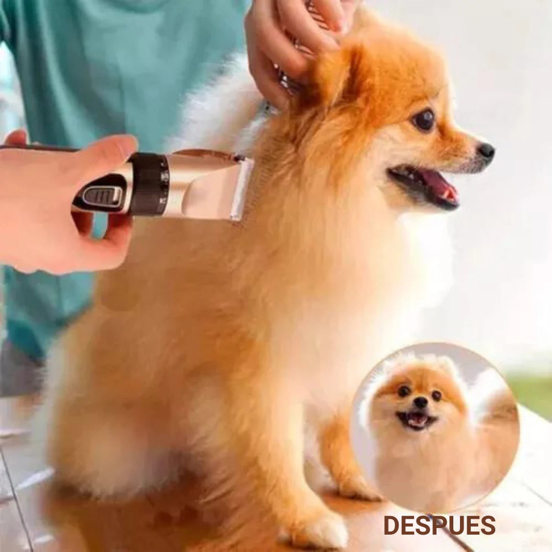 CORTA PELO PARA MASCOTAS